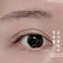 (유)이공간디자인 | 가정동 속눈썹 루원시티 디얼유 C컬 후기 디자인 컬 종류