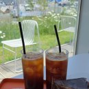 당진 숨은 맛집 🌼장고목 카페 데이지꽃 가득한 꽃길 솔직 후기