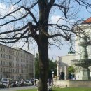 [독일대학 - 뮌헨대학교] Ludwig Maximilian Universitat in Munchen 이미지