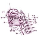 성악가곡(기초) 이미지