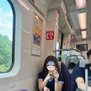 (주)이지코퍼레이션(반딧불이) | 도파민 중독자들이 말아주는 대만 여행 1편 | 타이베이 2박 3일 | 샹산 최고봉에 오르다 | 라오허제...