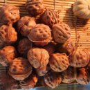 금구빌딩 | 전주생활 : 나만의 전주 빵 맛집 모음 + 전주 근교 김제 금구 빵쇼핑 베이커리 방문 후기