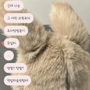 엄가네도토리 | 행복했던 날들