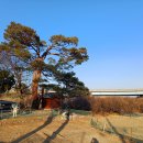 월천리 마을회관 이미지