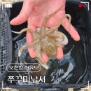 지에스(GS)25 보령오천항점 | 보령 오천항 쭈꾸미낚시 허육도 워킹낚시 다녀왔어요 꿀팁