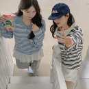 세이니 이미지
