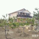 대명펜션 이미지