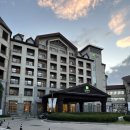 알펜시아당구장 이미지