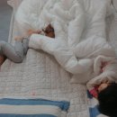 와우동물병원 이미지