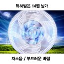 본텔 쇼핑하우