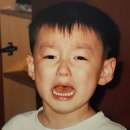 주호 Daum카페