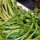 운문산가든 이미지