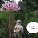 만민농장 이미지