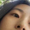 더고운 살롱