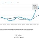 근원마켓 티스토리