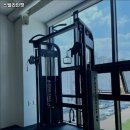 스텔라인핏 이미지