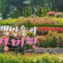 원종종합시장 이미지