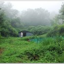 안평농장 이미지