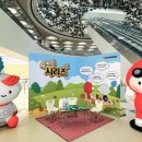 팀컴퍼니
