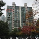 분당-321 이미지