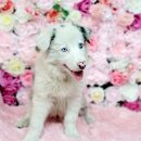 이박사카크리닉 이미지