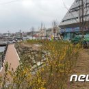 성정천 이미지