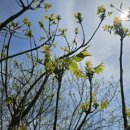 안말농장 이미지