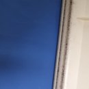 금오대로-5 이미지