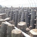 신석농장 이미지