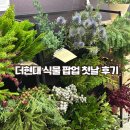 12/11 크리스마스 생화 트리 | 11월 더현대 서울 폿(pot) 팝업 방문 후기 | 크리스마스 식물 &amp; 생화 리스