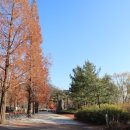 3.1역사공원 이미지