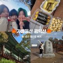 세자매 김밥 | 투툰 세자매 가을 등산 광덕산 등반 후기 낋여옴!