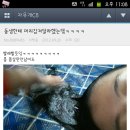 카페드립 - 이천시 대산로 214-7 | 카페드립
