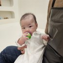 더온 | 위례 아기수영장 베이비온더풀 방문후기, 첫 수영 후 아기가 기절했어요