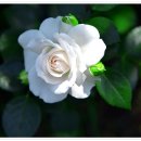 보개도서관 이미지