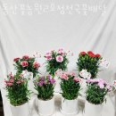 동산농원 이미지