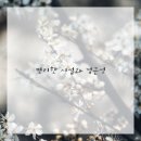 더하다 속눈썹 네이버블로그