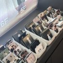 W. 광주 포에버마인 웨딩촬영 후기, 뉴컨셉 PLOT 촬영 (메이크업 제니스뷰티)