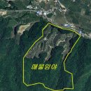 문경공인중개사사무소 Daum카페
