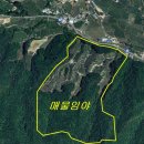 경북 문경 도로변 임야(353,720m2/평당1만) 이미지