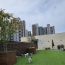 더봄(the봄) 이미지