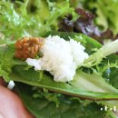 정통쌈밥 Daum카페