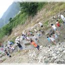 버섯구지마을 이미지