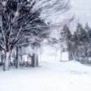 민들레학교 이미지