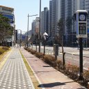 율곡초등학교 이미지