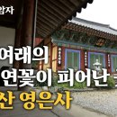 약사여래의 금빛 연꽃이 피어난 곳 태백산 영은사 이미지