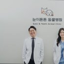 튼튼동물병원 이미지