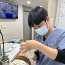 비타동물의료센터 이미지