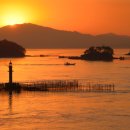 사천중앙약국 이미지