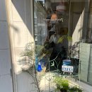 마리드파리